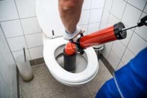 toilet unblocking services